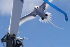 Atlanteren 2 (østover)