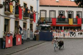 terceira_bullrun-16.JPG