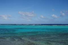 Grenada og Grenadinene