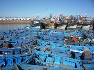 essaouira_fiskere.JPG
